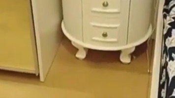 Bokep Ngentot – Janda Kembar Menyekap Adik Bungsu