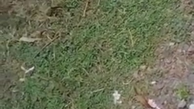 Bokep Indo Prank Becak Motor Full Version